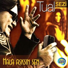 Album cover of Hala Aşksın Sen... (Sezi)