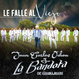 Album cover of Le Fallé al Viejo