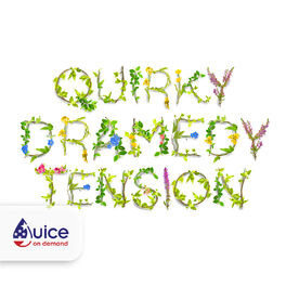 Album cover of Quirky Dramedy Tension