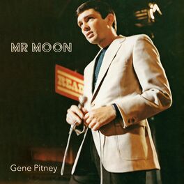 Album cover of Mr Moon