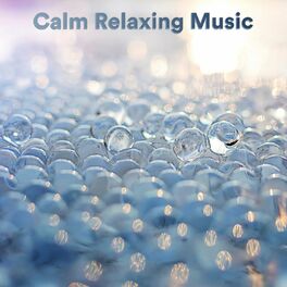 Album cover of Calm Relaxing Music