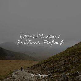 Album cover of Obras Maestras Del Sueño Profundo