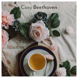 Album cover of Cosy Beethoven