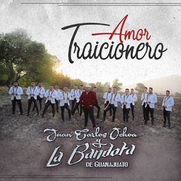 Album cover of Amor Traicionero