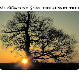 Album cover of The Sunset Tree