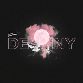 Album picture of Destiny