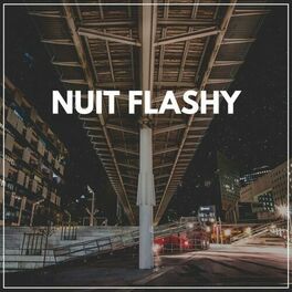 Album cover of Nuit Flashy
