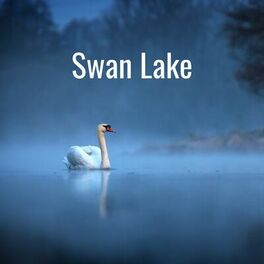 Album cover of Swan Lake