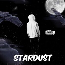 Album cover of StarDust