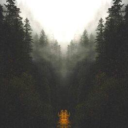 Album cover of Above the Water