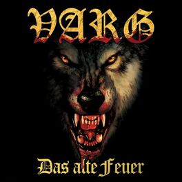 Album cover of Das alte Feuer