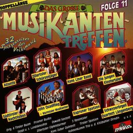 Album cover of Das grosse Musikantentreffen - Folge 11