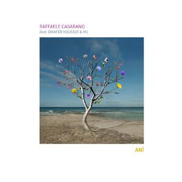Album cover of Anì