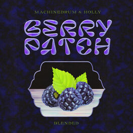 Album cover of Berry Patch: Blended