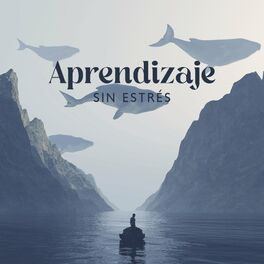 Album cover of Aprendizaje sin Estrés: Música para la Concentración