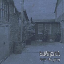 Album cover of Into the Grey