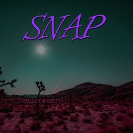Album cover of Snap