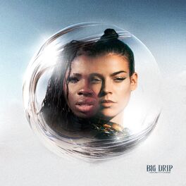 Album cover of BIG DRIP