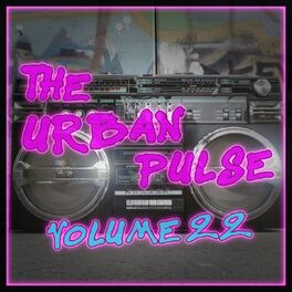 Album cover of The Urban Pulse,Vol.22
