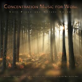 Album cover of Concentration Music for Work: Soft Piano and Nature Sounds, Bird Sounds, Forest Sounds and Ambient Music For Studying, Deep Focus,