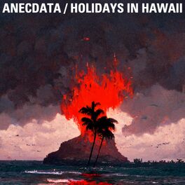Album cover of Holidays in Hawaii