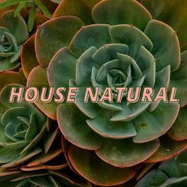 Album cover of House Natural