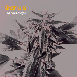 Album cover of Weedtape