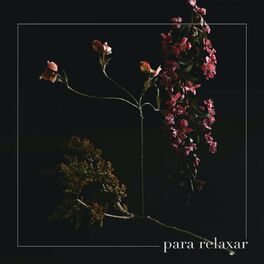 Album cover of Para Relaxar