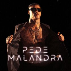 Baixar Pede Malandra - PK Delas