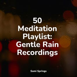 Album cover of 50 Meditation Playlist: Gentle Rain Recordings