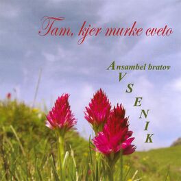 Album cover of Tam, kjer murke cveto