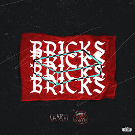 Album cover of Bricks