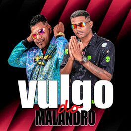 Album cover of Vulgo do Malandro