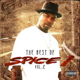 Album cover of The Best of Spice 1, Vol. 2