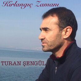 Album cover of Kırlangıç Zamanı