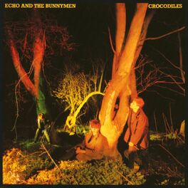 Album cover of Crocodiles