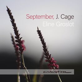 Album picture of In A Landscape