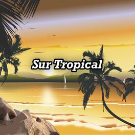 Album cover of Sur Tropical