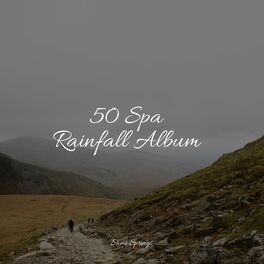 Album cover of 50 Spa Rainfall Album
