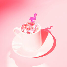 Album cover of Pink Flamingo Rhythm Revue