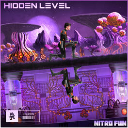 Album cover of Hidden Level