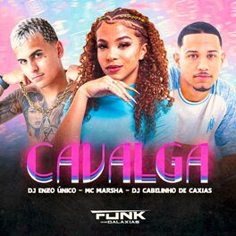 Album cover of Calvaga