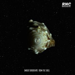 Album cover of From the Shell