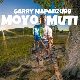 Album cover of Moyo Muti