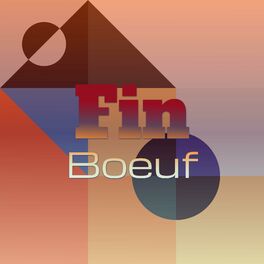 Album cover of Fin Boeuf