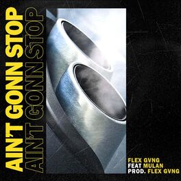 Album cover of Ain't Gonn Stop (feat. Mulan)