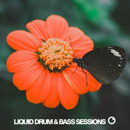 Album cover of Liquid Drum & Bass Sessions 2019 Vol 5
