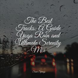 Album cover of The Best Tracks: A Guide Yoga Rain and Ultimate Serenity Mix