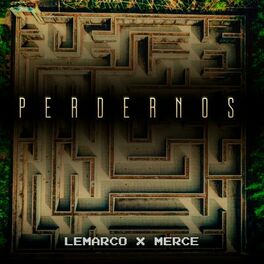 Album cover of Perdernos