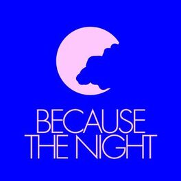Album cover of Because The Night
